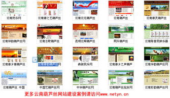 云南葫芦丝网站建设网络公司千龙企业网